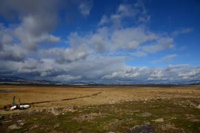 DSC_2902 (Large).JPG